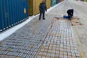 Более тонны кокаина обнаружили таможенники в порту Санкт-Петербурга