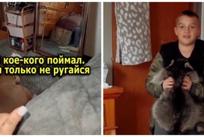 Мальчик нашёл себе нового друга