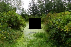 Пугающая инсталляция в городском парке (3 фото)