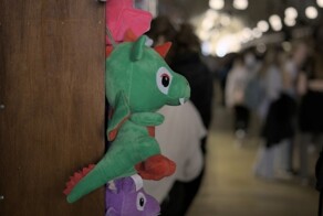В Санкт-Петербурге в новогоднюю ночь парень изнасиловал двух драконов