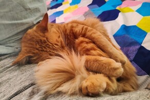 С добрым утром