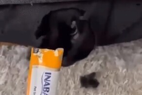 Не забывайте "подкармливать" свою кровать