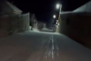 Экстремальный спуск на санках