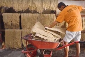 Самая уродливая лапша в мире, которую еще и топчут ногами