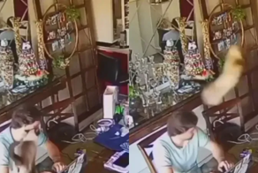 Неугомонный котофей навел суету
