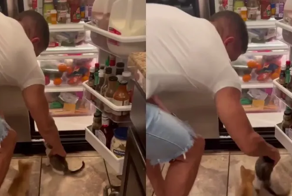 Нападение на холодильник организованной группой лиц