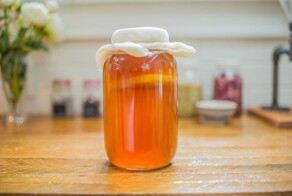 "Если гриб взял вас в заложники...": в соцсетях беспокоятся о Василии, который пообещал написать отзыв о чайном грибе - и пропал