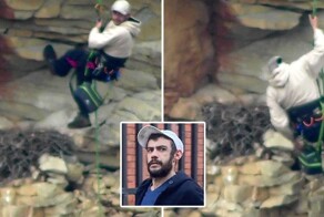 Британец разорил гнездо сапсана и получил срок