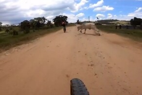 маршрут автобуса. номер маршрута общественного транспорта. новосибирск маршруты автобусов. новосибирск автобусные маршруты. как будет ходить 24 автобус.