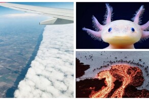 30 впечатляющих фотографий из разных уголков мира