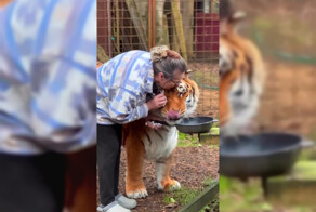 20 лет под опекой в питомнике⁠⁠