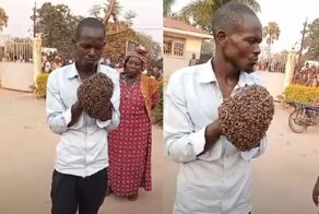 Африканская колдунья в Уганде арестовала мотоциклетного вора с помощью пчел