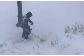 Зимний покос травы в Санкт-Петербурге
