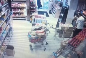 Смышлёный пёс украл лаваш из магазина