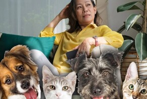 Многодетная китаянка оставила 2,8 млн долларов своим питомцам