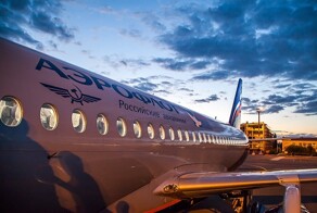 Устроивших драку на борту самолёта пассажиров оштрафовали на полмиллиона рублей