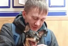 Полицейские опубликовали трогательное видео воссоединения пса Арчи с его хозяином