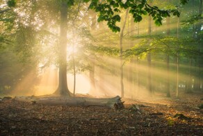 С добрым утром