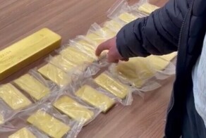 Россиянин попытался вывезти из страны чемодан с золотом