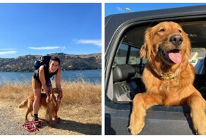 "Я научила своего золотистого ретривера разговаривать с помощью кнопок"