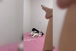 Долгая подготовка к атаке