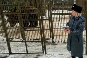 Под Смоленском сошедший с ума в неволе медведь убил человека, который упал в его клетку
