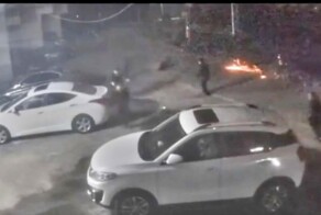 Игривый пёс с горящей петардой устроил панику во дворе