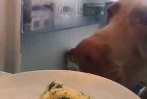 Никто не заметит, если я съем кусочек