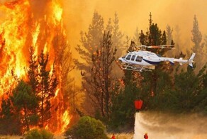 Катастрофические лесные пожары охватили Чили