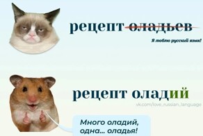 Правила русского языка, в которых многие допускают ошибки
