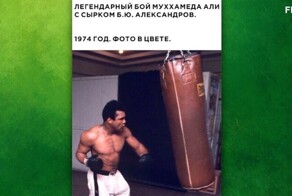 Мемы из соцсетей. Свежак за 4 февраля