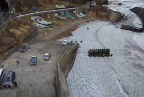 Белый пляж в Японии, покрытый костями рыб