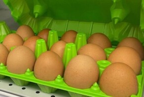 В Омске нашли на свалке целую кучу яиц