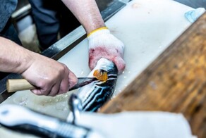 Два бразильца попали в реанимацию после того, как отведали опасный деликатес