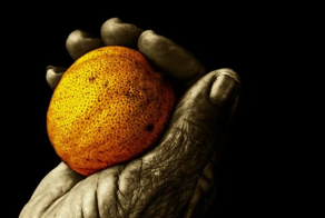 Старый и засохший лимон продали за&nbsp;кругленькую сумму