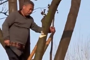 Когда всё пошло немного не по плану