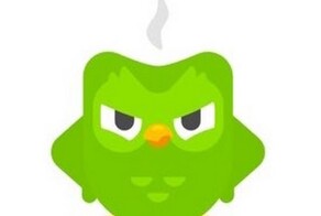 Приложение Duolingo призвали заблокировать в России