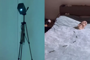 Виртуальная охота на жуков