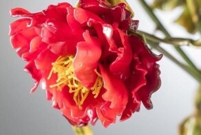 Очарование стеклянного увядания от Лиллы Табассо