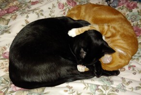 С добрым утром