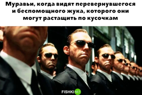 Обо все и ни о чем, но с улыбкой