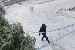 Во время гололёда каждый сам за себя