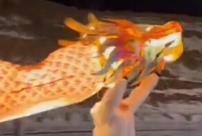 Китайский дракон, управляемый дроном