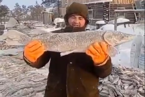В ХМАО ищут рыбаков, выложивших ролик с тоннами незаконно выловленной рыбы