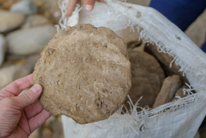 Таможня США стонет от туристов из Индии и их фекальных гостинцев