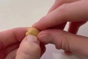 "Дополнительный белок": неприятный факт об орехах кешью