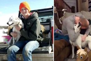 Хозяин нашёл собаку спустя 4 года в 800 км от дома