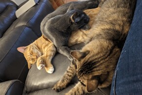 С добрым утром