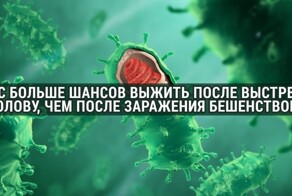 "Хочу все знать" для бесстрашных: 33 мрачных факта, о которых вы не сможете забыть