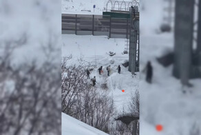 Тюменские дети развлекаются тем, что прыгают в кучу снега с высоты